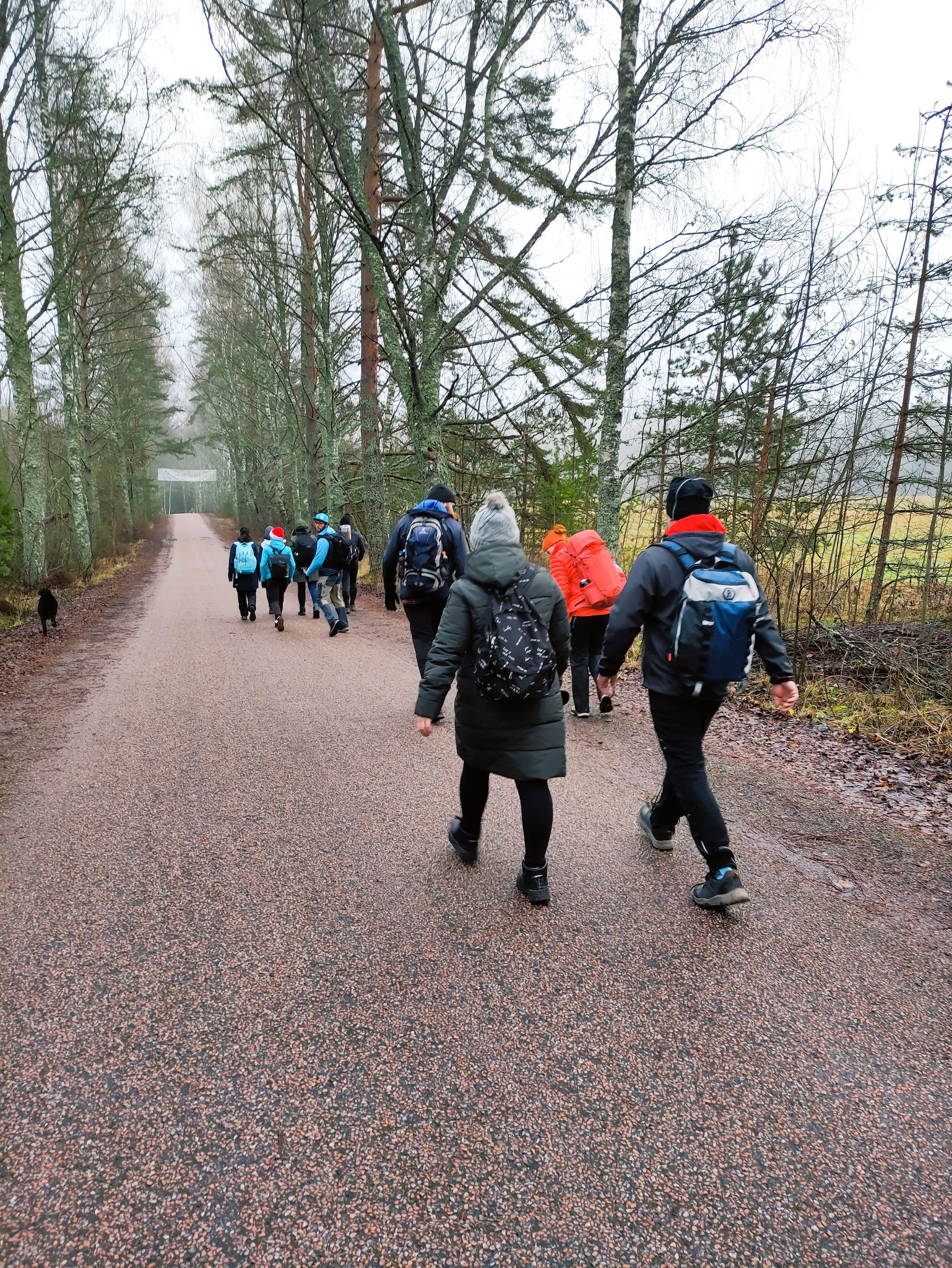 Tasuta, kuid hääbuv? Eesti kõrghariduse tulevik ja jätkusuutlikkus