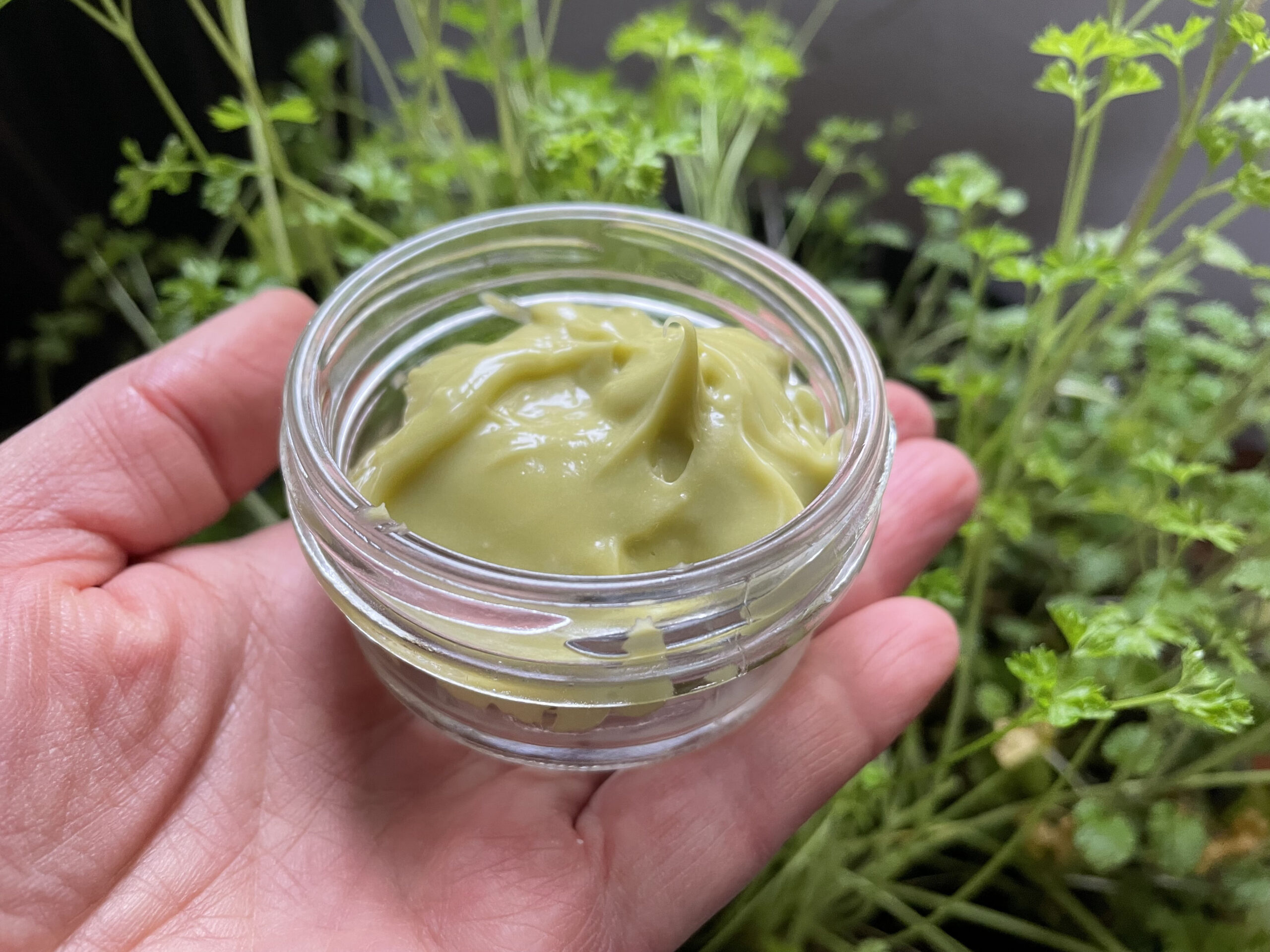 Nature in a Jar: Make Your Own Natural Cosmetics