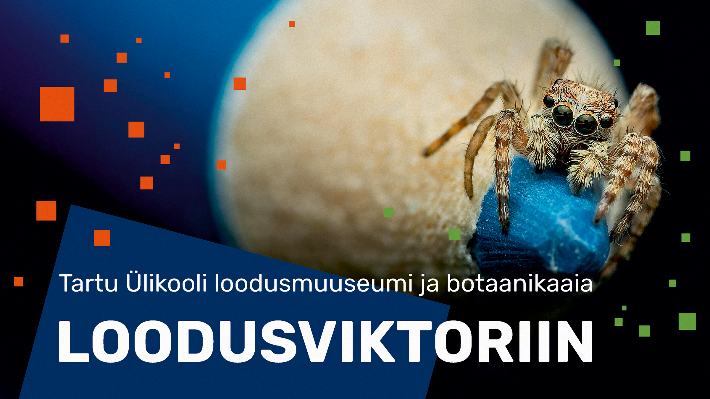 Eesti looduse mälumäng