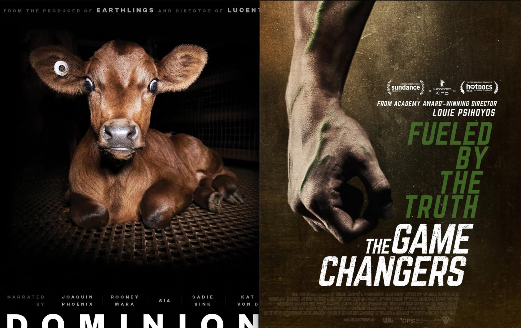 Dominion ja The Game Changers filmiõhtu
